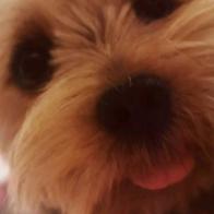 Verónica  A. Bilbao