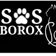 S.O.S. Borox Protectora de animales