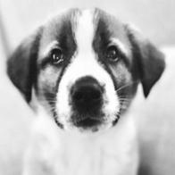 Erica Silvina Minetti