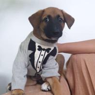 Françoise ASSO PATTES ET TIC