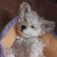 Cristina De Pablo Martínez