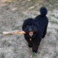 Sonia Menéndez Menéndez