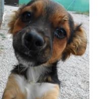 Mª Pilar Muñoz Casanellas