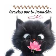 Clara Isabel  Rosario Viera