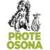 Prote Osona
