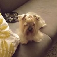 Adela  Romero Arrieta