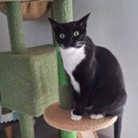 Ana zoraida Díaz Ramos