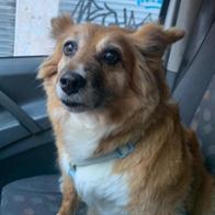 Nagore LLORENTE ALONSO