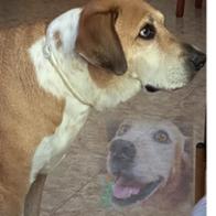 M.angeles Salas guerrero