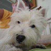 Amparo Maldonado Cuadrado