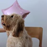 Olga  Bienvenido Bosch