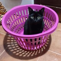 María José Soriano Hernandez