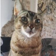 Sonia Carrasco Clavijos