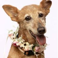 REFUGIADOS refugiadosct@hotmail.com