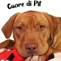 Associazione  Cuore di pit