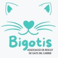 Bigotis  By Associació Gats108