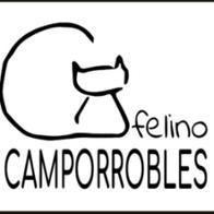 Camporrobles Felino Felino
