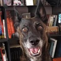 Hildara Tojeira Vaqueiro