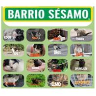 Colonia Barrio sesamo