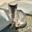 Gato Minero