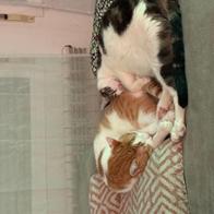 Jorge Juan González