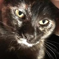 Monica Martínez Huerta