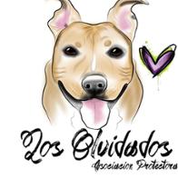 Los olvidados Asociación protectora