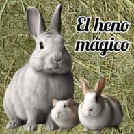Elhenomagico  Elhenomagico