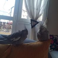 Zaida Martino Frutos