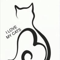 Estefanía Álamo García