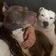 Jessica Vicent campaña