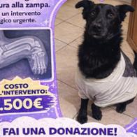 L'Oasi di Gilda ODV 💕 Aiutaci ad aiutarli 💕