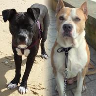 Marina Galarza Hijazo