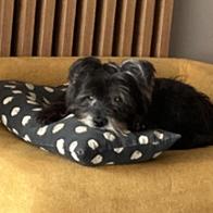 Elena Molina Quijano