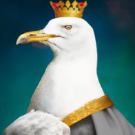 Gulls Community