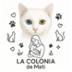 La colonis de Mati La colonia de Mati