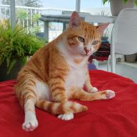 Maria jose Bogajo velasco