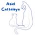 Asiel Cattaleya  ..