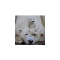 pascale MILON PIERRE