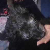 Katia Maria Ansaloni