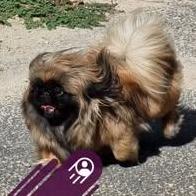 Brigitte Cleenewerck