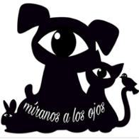 Protectora de animales  Míranos a los ojos