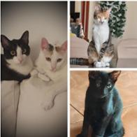 Montse Peraza Ortega