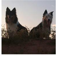 mari carmen caballero morán