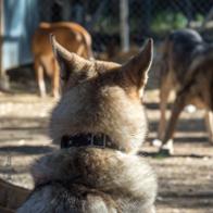 Anna Alfonso Solsona