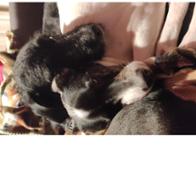 Soraya López Cancho