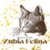 Asociación Zubia Felina