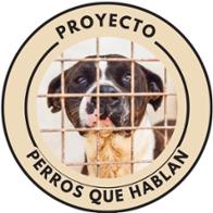 Cristina Proyecto Perros que hablan