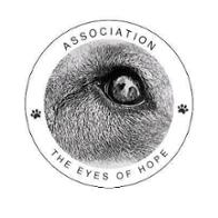 The Eyes of Hope The Eyes of Hope