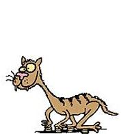 RAQUEL MARTINEZ DIAZ